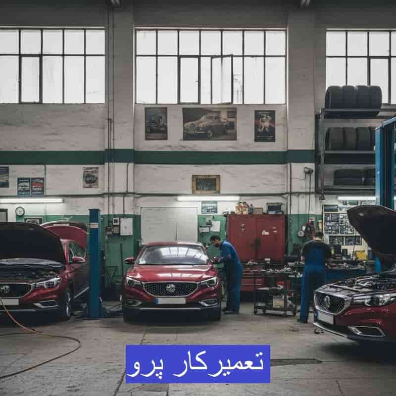 تعمیرکار پرو